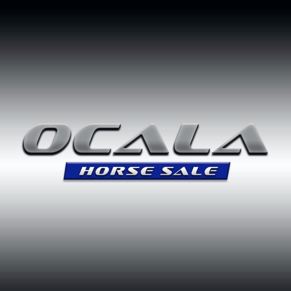 Ocala Horse Sale